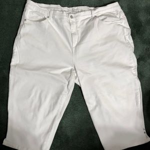 COPY - GLORIA VANDERBILT 22W WHITE CAPRIS